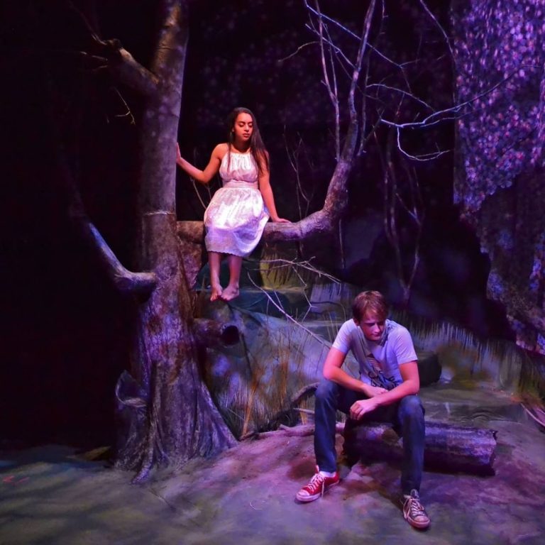 Colony Collapse by Stefanie Zadravek